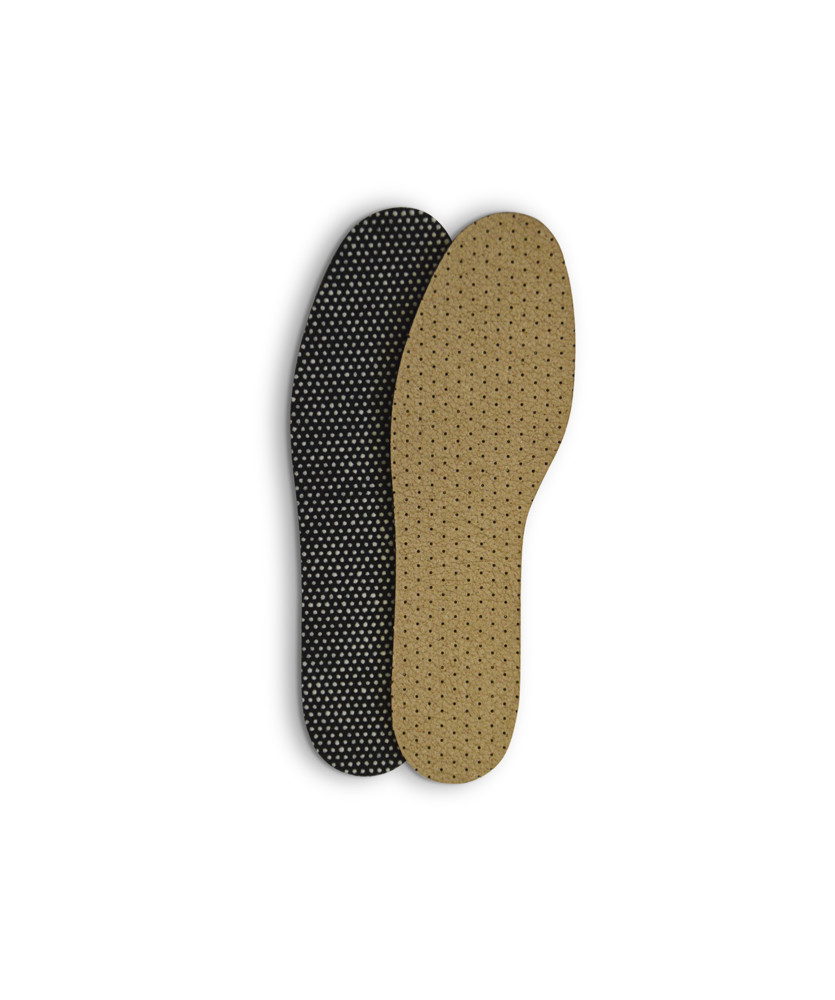 Inlegzool