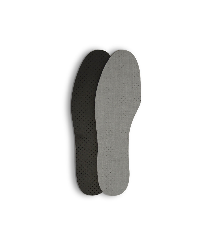 Inlegzool